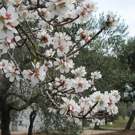 Apartman Donna Maria
